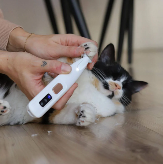 Paw Trimmer